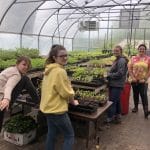 VMRC Willow Run farm