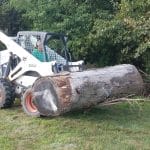 Elementary playground