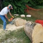 Elementary playground