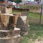 Wooden "rounds" become stepping stones.