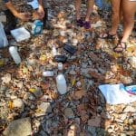 Environmental sustainability students and chemistry students on field trip to study the North Fork in Bergton, Va. Photo by Kevin Carini.