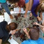 Environmental sustainability students and chemistry students with EMU biology professor Jim Yoder, on field trip to study the North Fork in Bergton, Va.