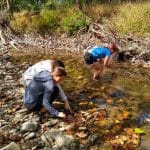 Environmental sustainability students and chemistry students on field trip to study the North Fork in Bergton, Va. Photo by Kevin Carini.