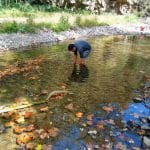 Environmental sustainability students and chemistry students on field trip to study the North Fork in Bergton, Va. Photo by Kevin Carini.