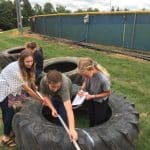 Middle school science classes help install tires in playground.