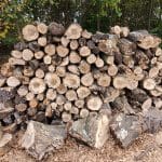 Pin oak left from construction clearing available for sale to benefit EMS