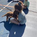 Elliot (Mrs. Gascho's Dog) came to visit