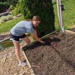 Project Grows, Verona