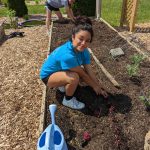 Project Grows, Verona