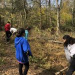 9th grade mountain bike trail maintenance at HIllandale Park, October 2022