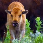 20230609_085500_95F487N