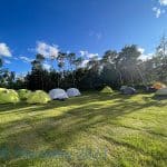 20230619_214227_DE2D8AAP