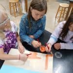 Title: Mary Jo’s Flower Farm
Size: 18” x 24”
Medium: acrylic paint, acetate paper
Description:  Inspired by their field trip with kindergarten science buddies to Mary Jo’s Flower Farm, each second grade artist designed a colorful flower using acetate paper. Students worked in small groups to paint a foreground, background, and vase. After painting individual stems, students attached their flowers to the composition. As the final step in their creative process, the class brainstormed title ideas for their piece then voted for their favorite.
