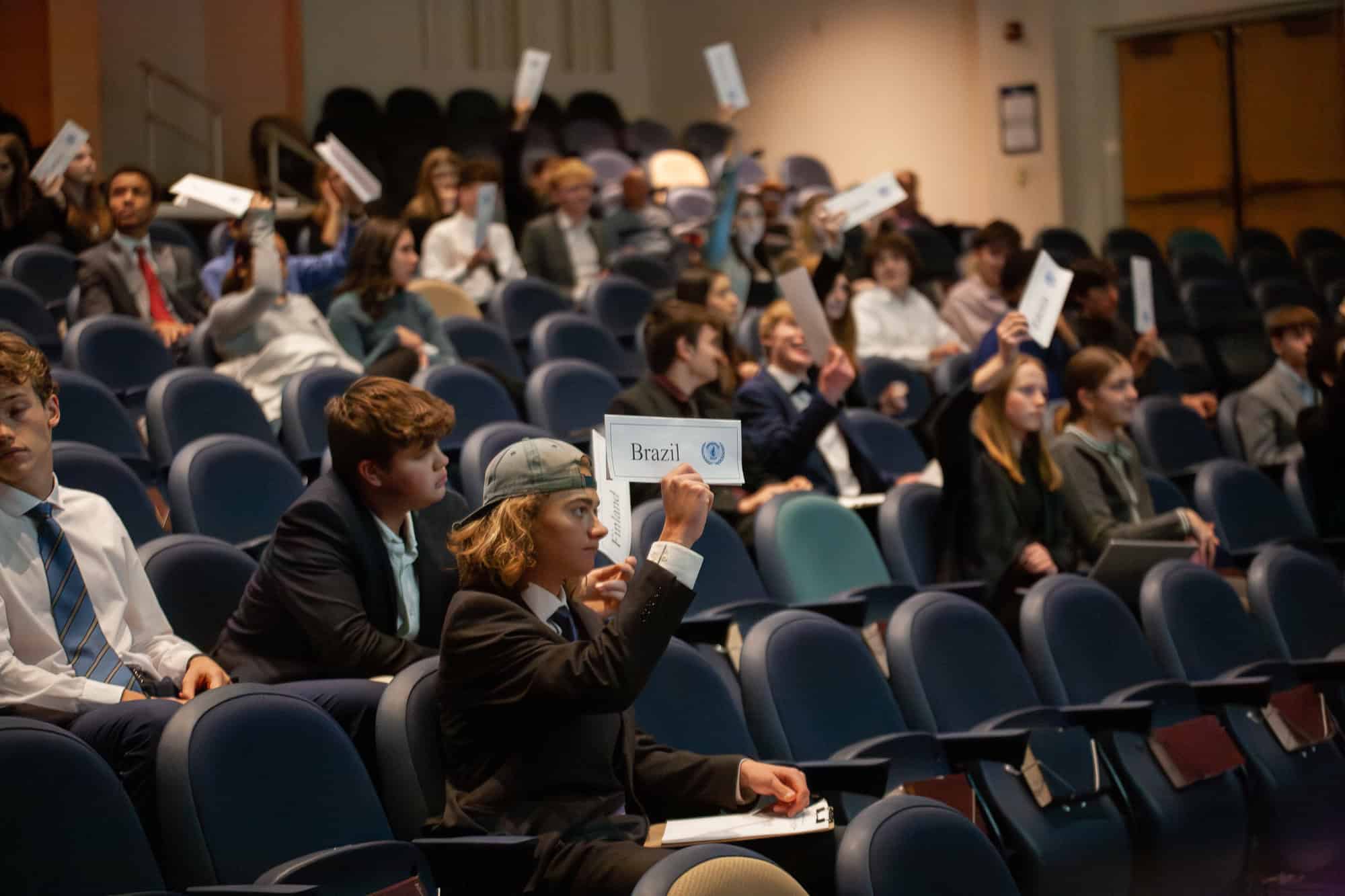 Model UN Simulation Participants Vote