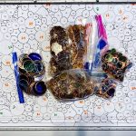 472301836_465936129895132_2287660497872917817_n