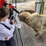 0E6620FA-EC2C-4C5C-8AB6-D6C256EA0948