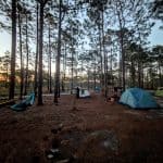 PXL_20250417_101247159.NIGHT~2