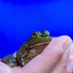 DISCOVERY25 full set-105