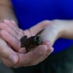 DISCOVERY25 full set-106