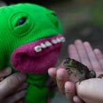 DISCOVERY25 full set-107