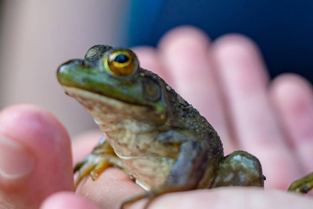 DISCOVERY25 full set-108