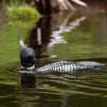 DISCOVERY25 full set-139