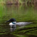 DISCOVERY25 full set-142