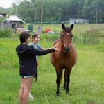 DISCOVERY25 full set-150