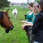 DISCOVERY25 full set-151