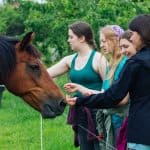 DISCOVERY25 full set-152