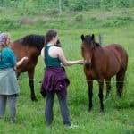 DISCOVERY25 full set-154