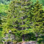 DISCOVERY25 full set-187