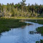 DISCOVERY25 full set-192