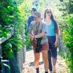 DISCOVERY25 full set-215