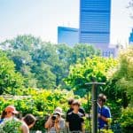 DISCOVERY25 full set-216