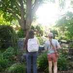 DISCOVERY25 full set-217