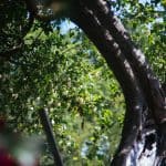 DISCOVERY25 full set-218