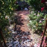 DISCOVERY25 full set-219