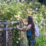 DISCOVERY25 full set-220