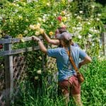 DISCOVERY25 full set-221