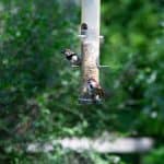 DISCOVERY25 full set-225