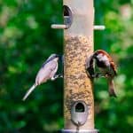 DISCOVERY25 full set-226