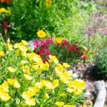 DISCOVERY25 full set-229