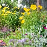 DISCOVERY25 full set-230