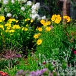 DISCOVERY25 full set-231