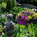 DISCOVERY25 full set-236