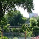 DISCOVERY25 full set-237