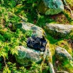 DISCOVERY25 full set-33