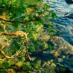 DISCOVERY25 full set-34