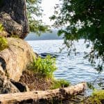 DISCOVERY25 full set-83